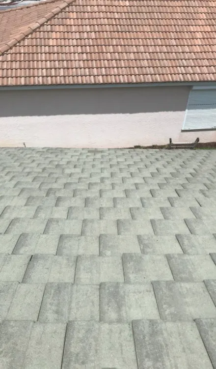 Slide of Blue Dog Roofing & Construction