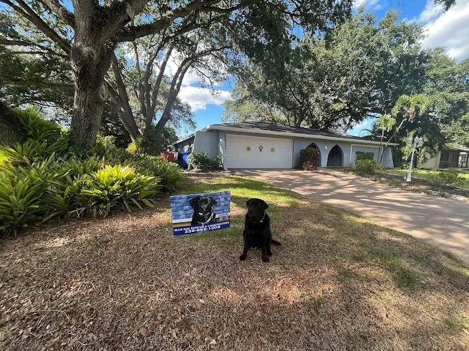 Slide of Blue Dog Roofing & Construction