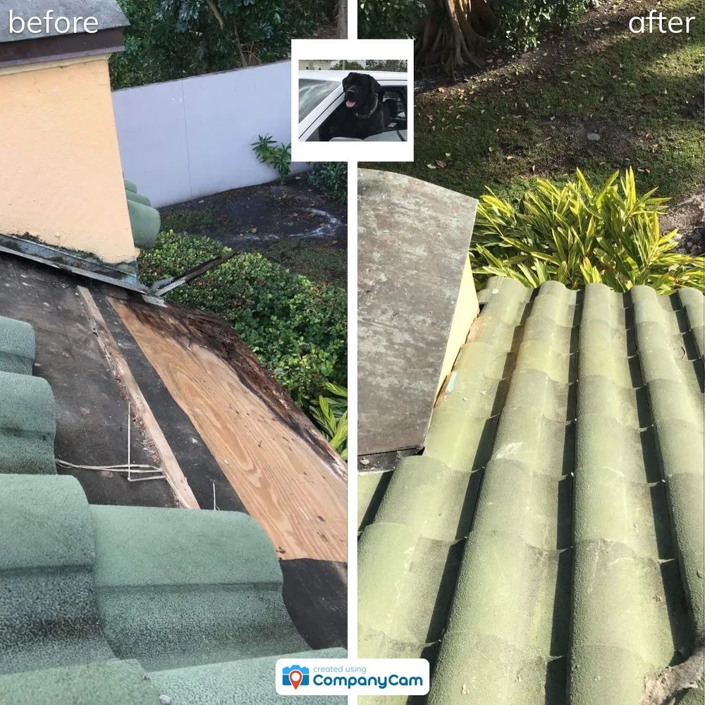 Slide of Blue Dog Roofing & Construction