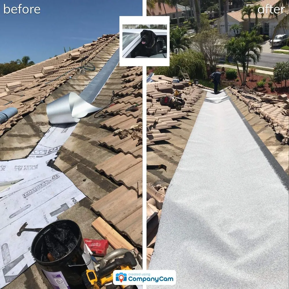 Slide of Blue Dog Roofing & Construction