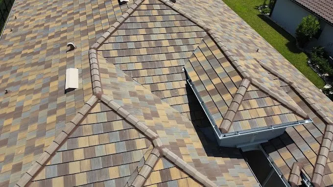 Slide of Blue Dog Roofing & Construction