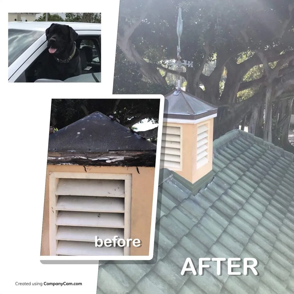 Slide of Blue Dog Roofing & Construction