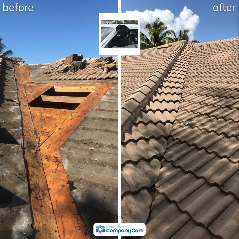 Slide of Blue Dog Roofing & Construction