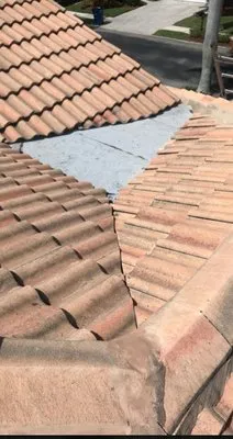 Blue Dog Roofing & Construction Logo