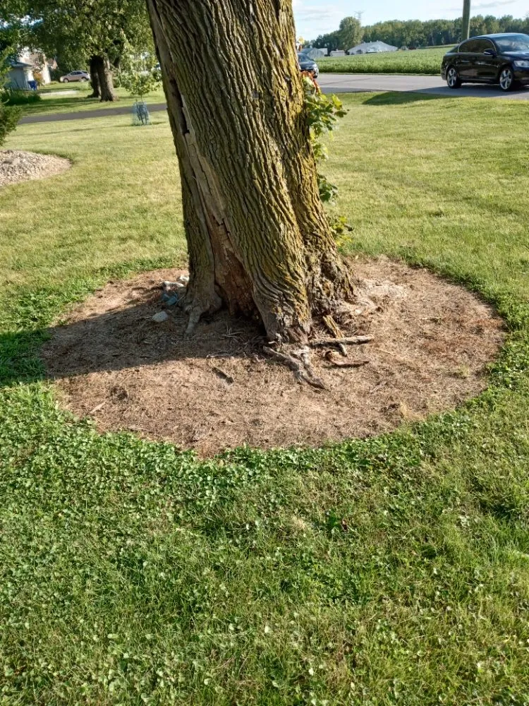 Slide of Blue Door Handyworx