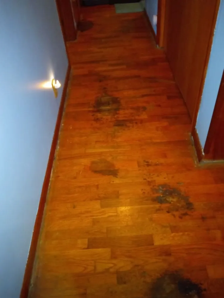 Slide of Blue Door Handyworx