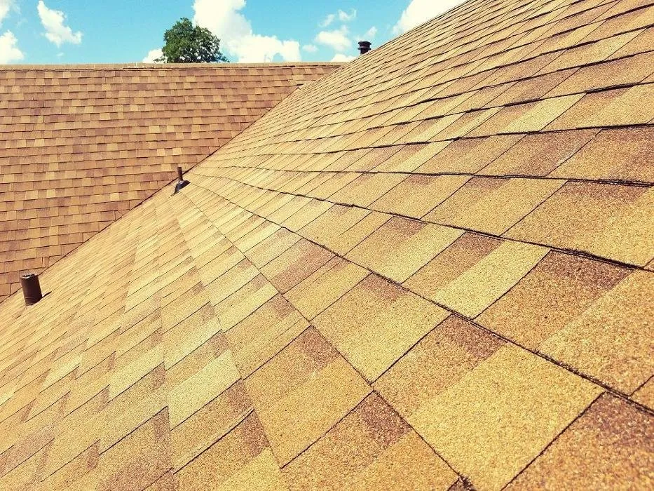 Slide of Blue Heron Construction