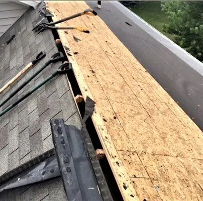 Blue Ladder Roofing Logo