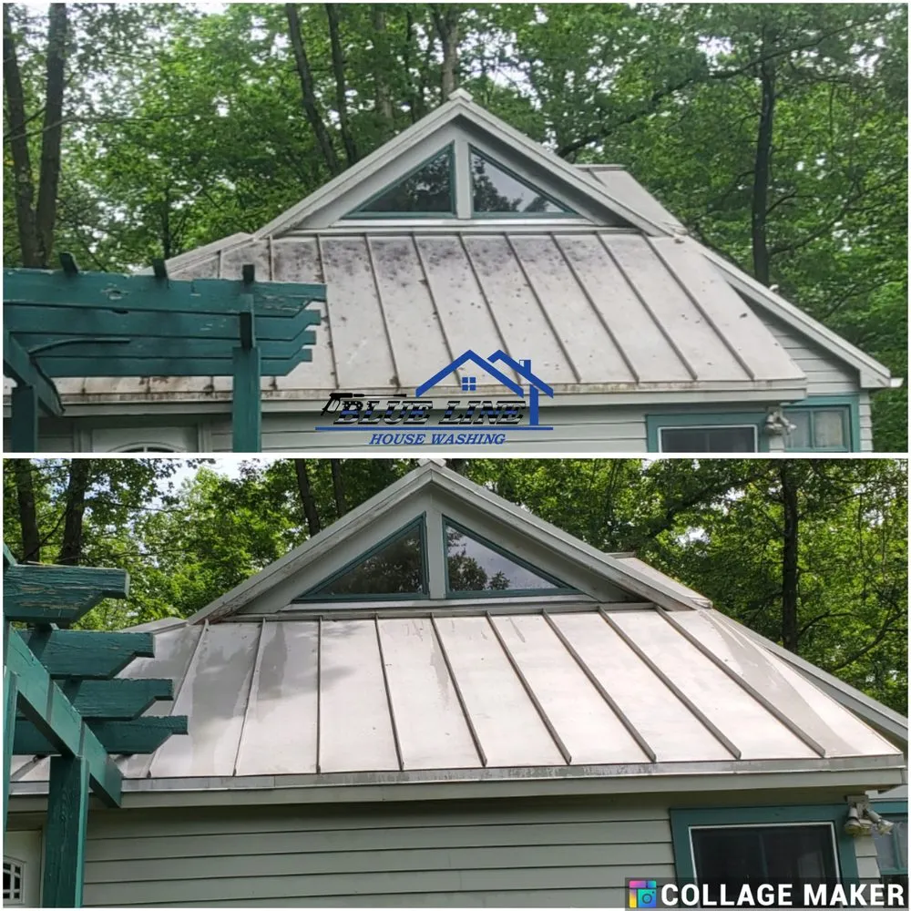 Slide of Blue Line House Washing