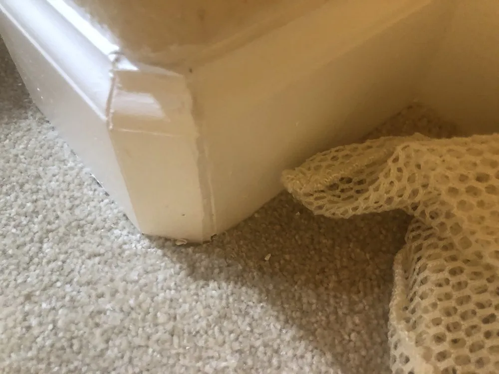 Slide of Blue Line Roofing & Construction - San Antonio