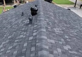 Slide of Blue Monkey Roofing