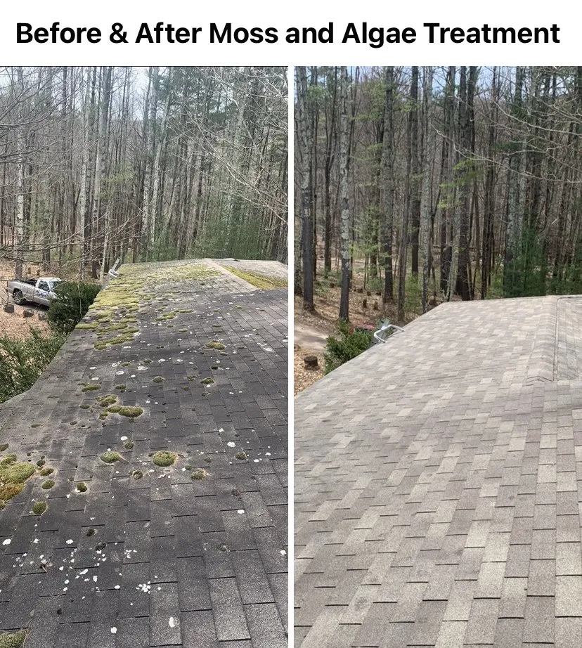 Slide of Blue Mountain Roof Cleaning