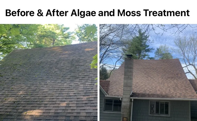Slide of Blue Mountain Roof Cleaning