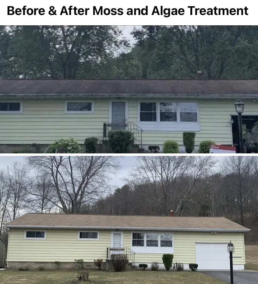 Slide of Blue Mountain Roof Cleaning