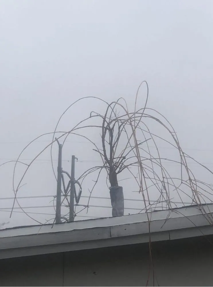 Slide of Blue Nail Roofing & Construction