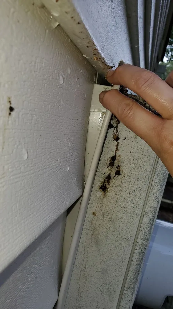 Slide of Blue Phoenix Roofing