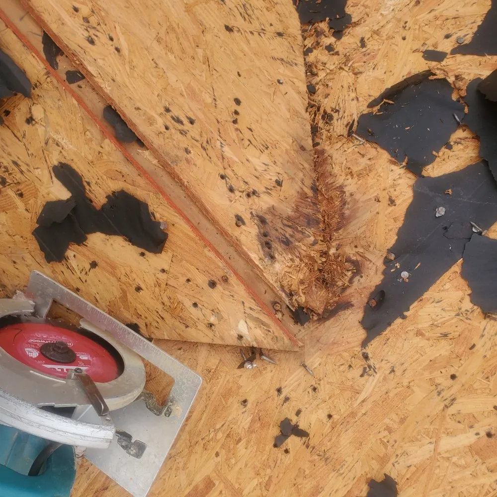 Licensed residential roofing service in Bell Buckle, TN by Blue Raider Roofing