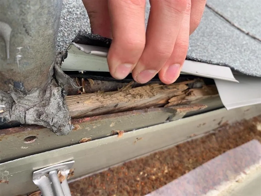 Slide of Blue Rain Roofing & Restoration