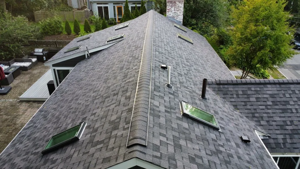 Slide of Blue Rhino Roofing