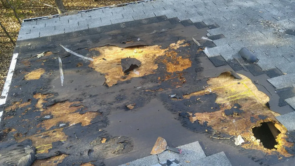 Slide of Blue Rhyno Construction