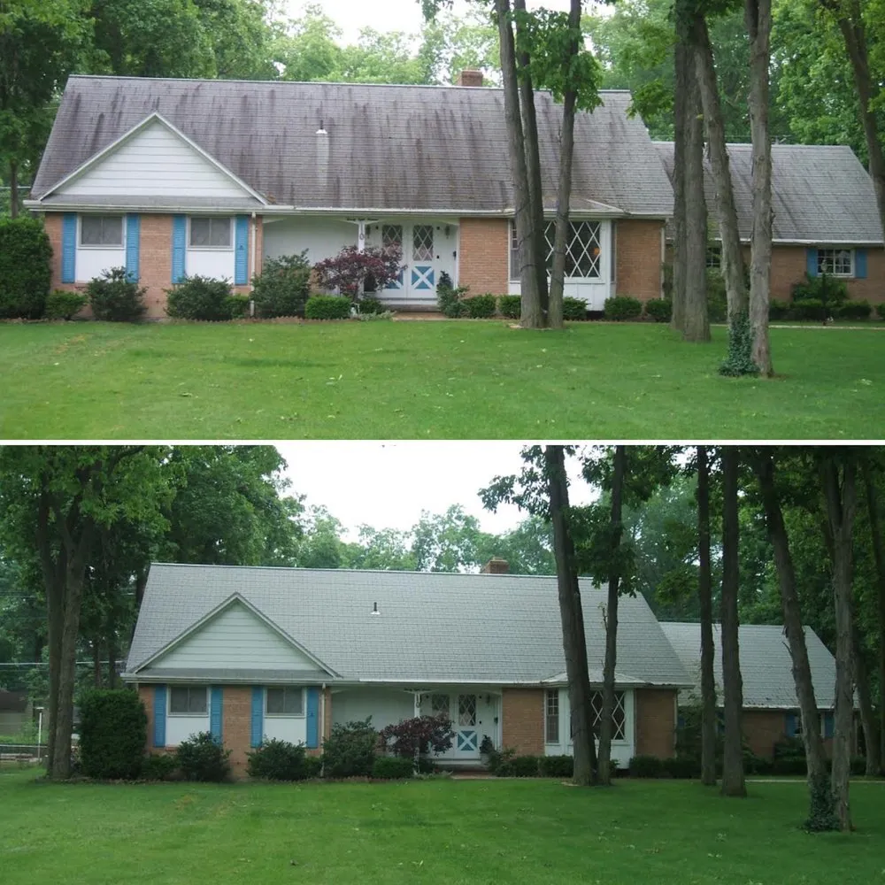Slide of Blue Ribbon Roof Cleaning