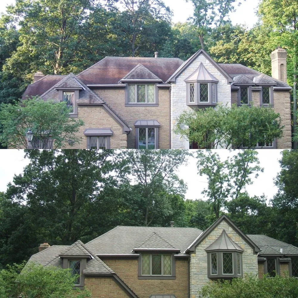 Slide of Blue Ribbon Roof Cleaning