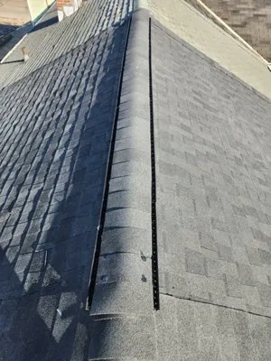 Blue Rise Roofing Logo