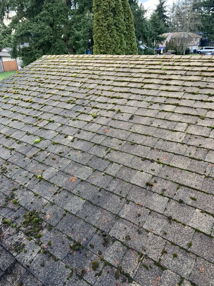 Slide of Blue Sky Construction