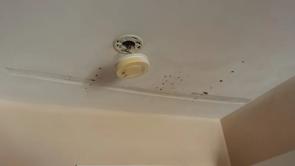 Slide of Blue Sky Exteriors