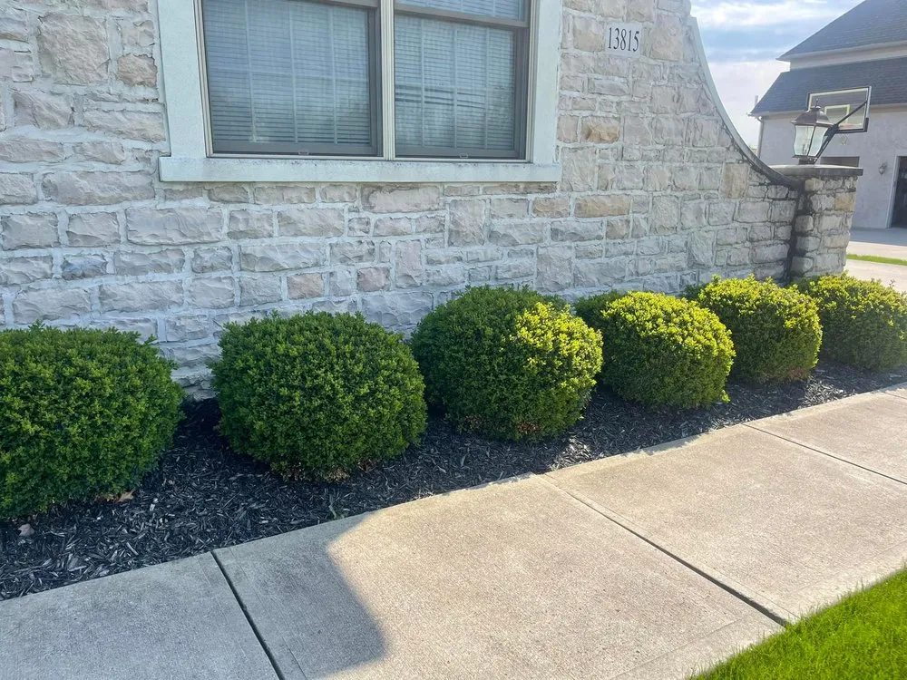 Slide of blue strip roofing and restoration