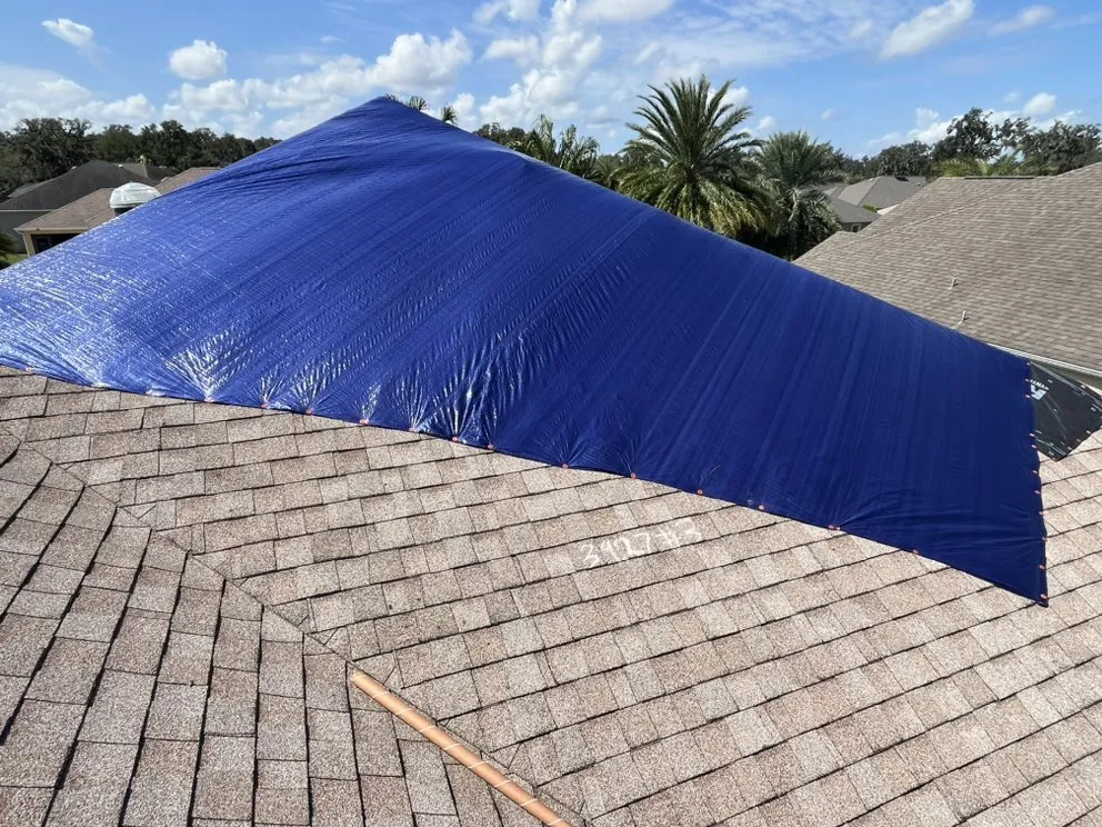 Slide of Blue Tarp Express