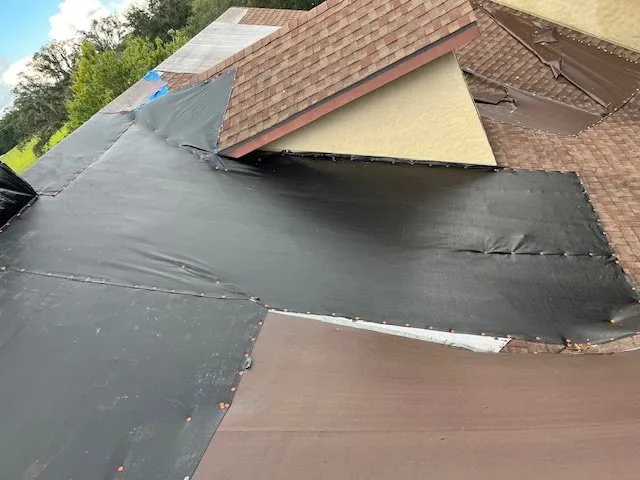 Slide of Blue Tarp Express