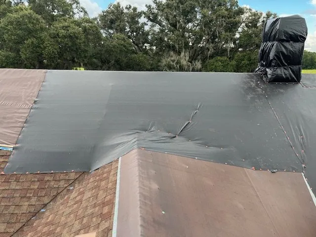 Slide of Blue Tarp Express