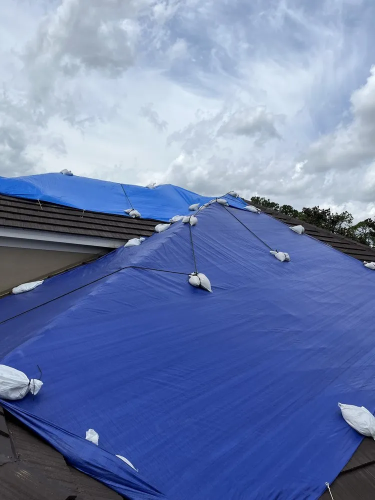 Slide of Blue Tarp Express