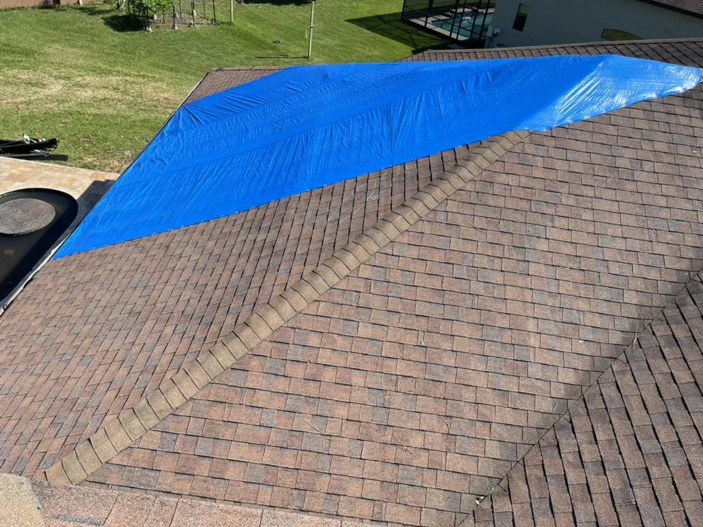 Slide of Blue Tarp Express