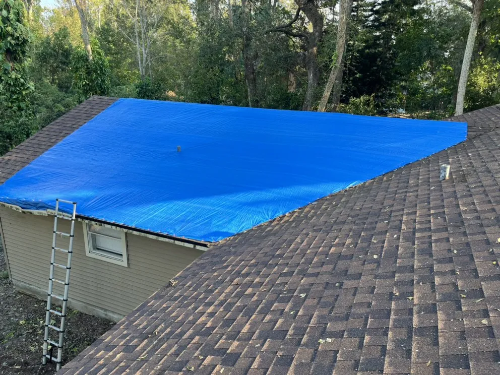 Slide of Blue Tarp Express
