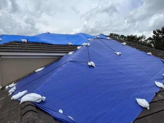 Blue Tarp Express