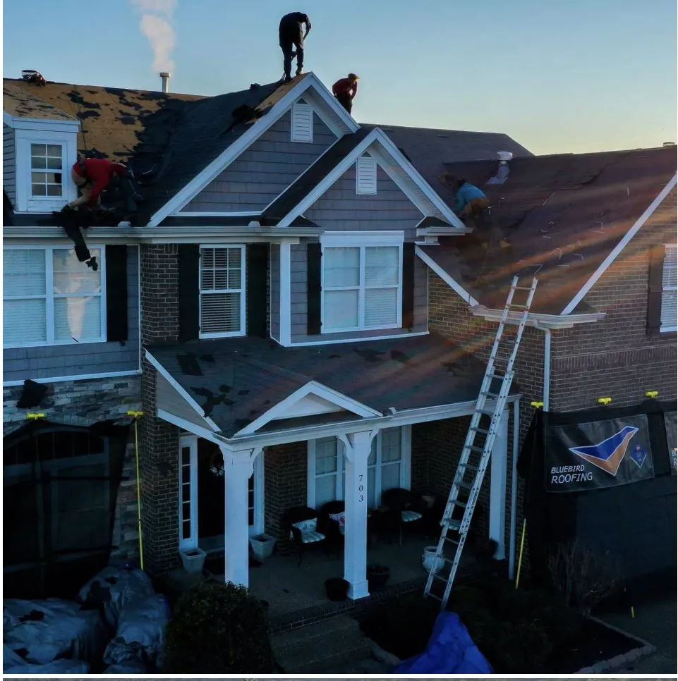 Slide of Bluebird Roofing
