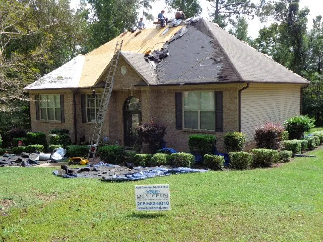 Slide of Bluefin Exteriors