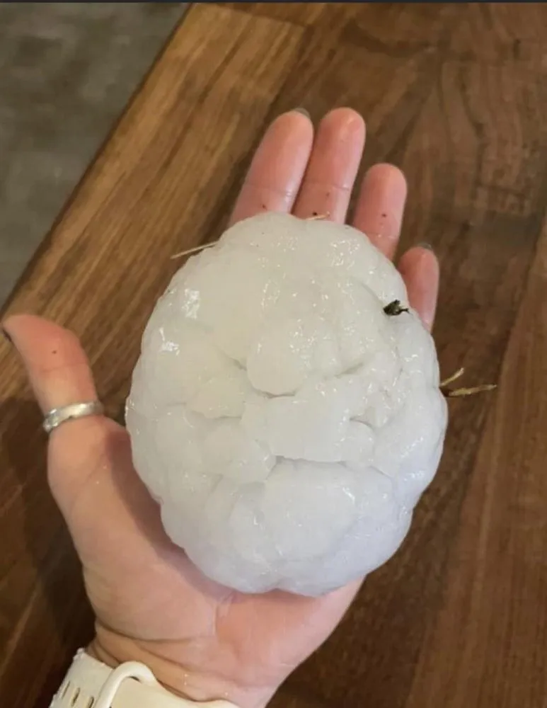 Slide of Bluejay Roofing