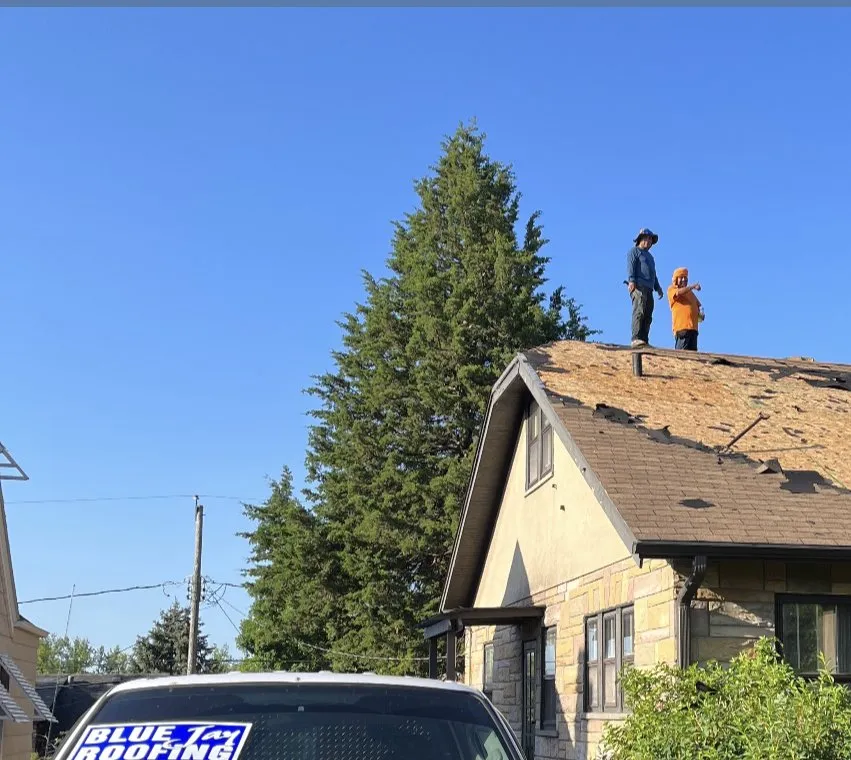 Slide of Bluejay Roofing