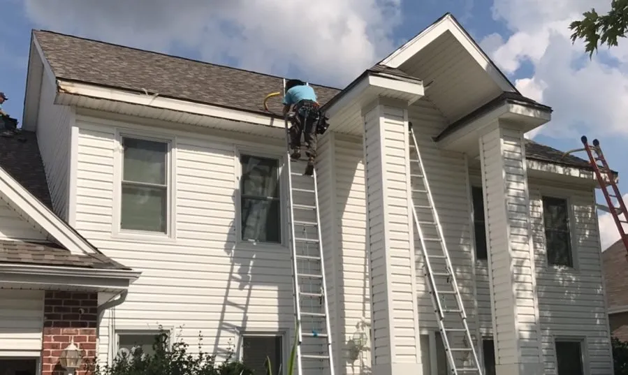 Slide of Bluejay Roofing
