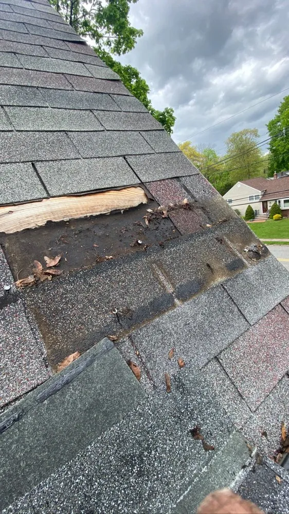 Slide of Bluesky Roofing