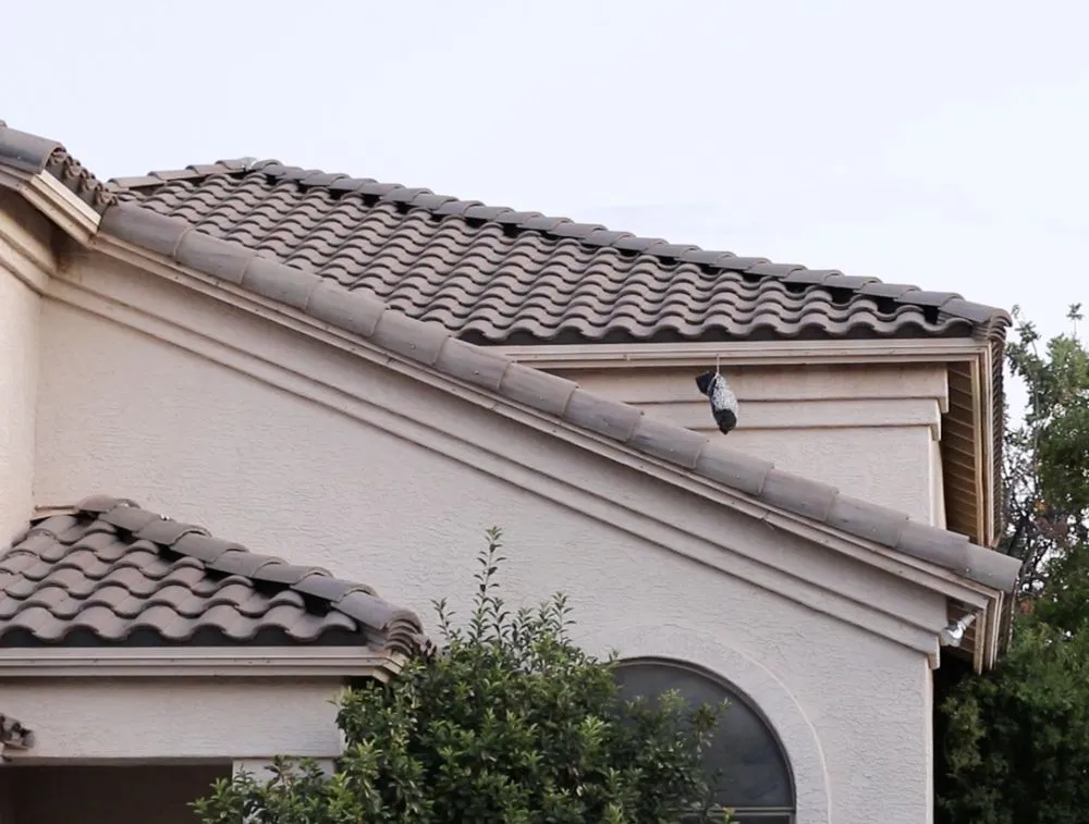 Slide of BnB Roofing