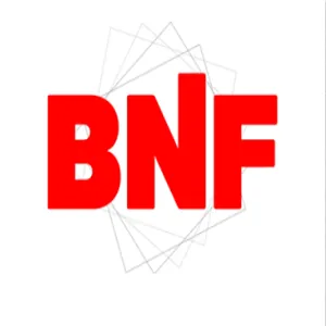 Slide of BNF Roofing