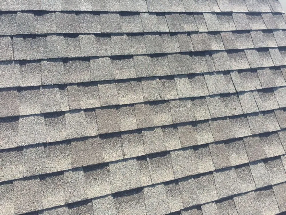 Slide of BNS Construction