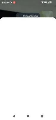 BnS Roofing and Remodeling