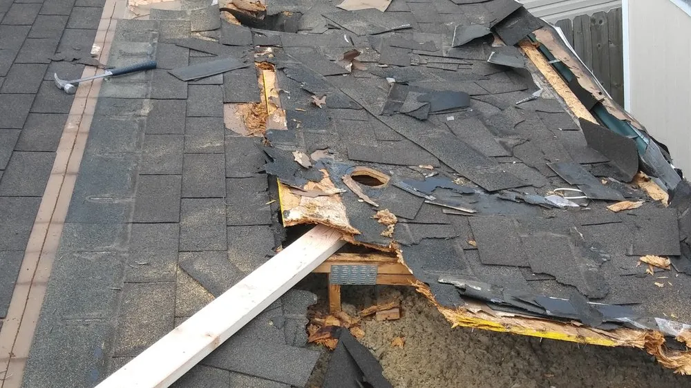 Slide of Boar Construction & Property Maintenance