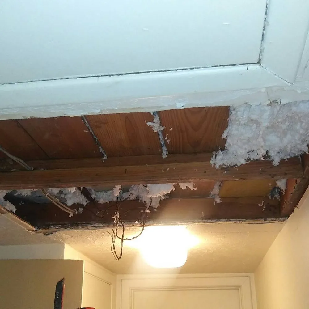 Slide of Boar Construction & Property Maintenance