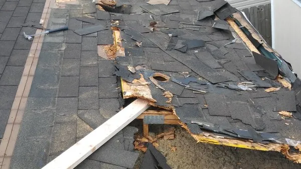 Boar Construction & Property Maintenance Logo